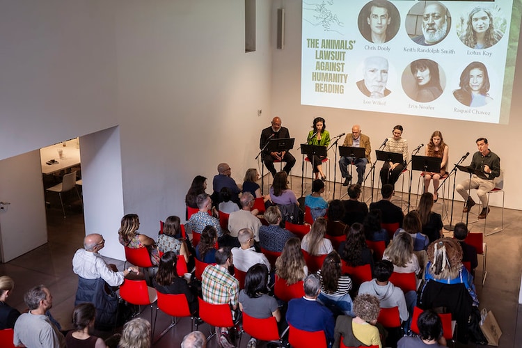 People attending a expert panel event at Climate Week 2024